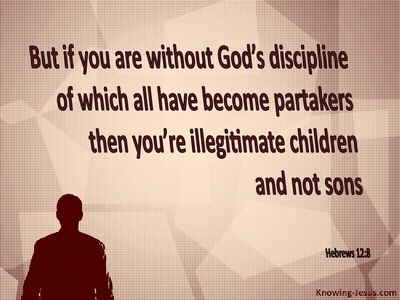 Hebrews 12:8 God Disciplines His Children (red)